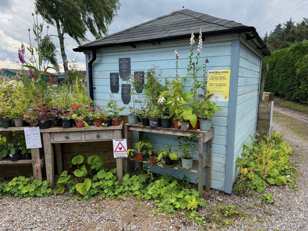 Ruthven Cottage Hardy Plant Nursery