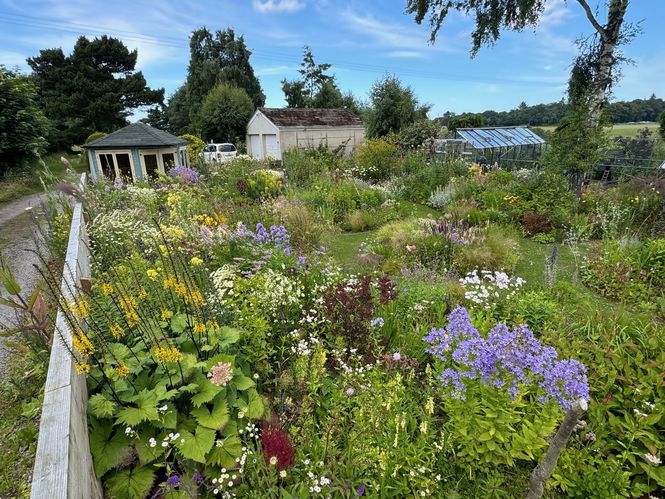 Ruthven Cottage Hardy Plant Nursery