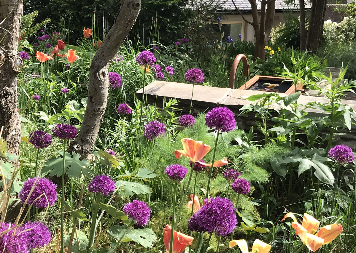 St Bedes Garden