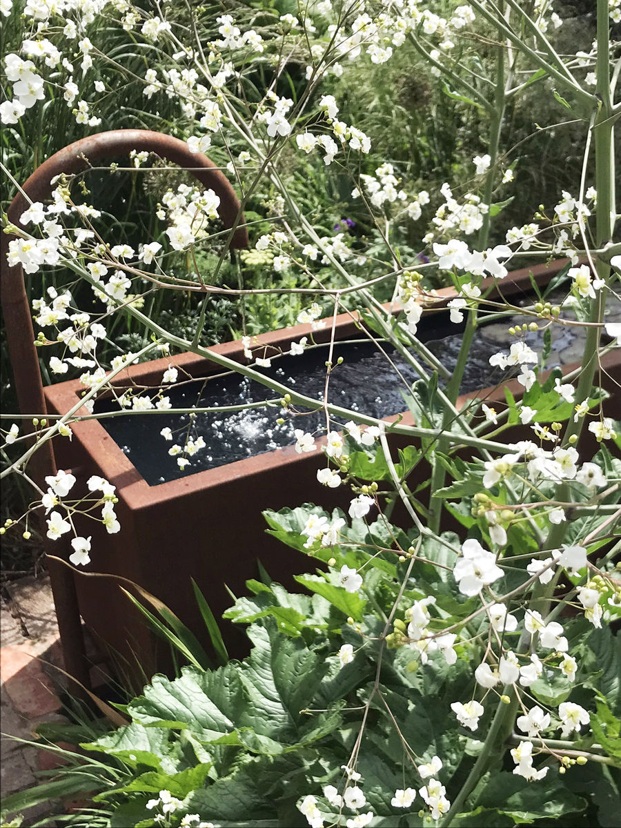 St Bedes Garden