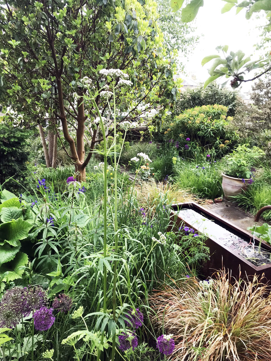 St Bedes Garden
