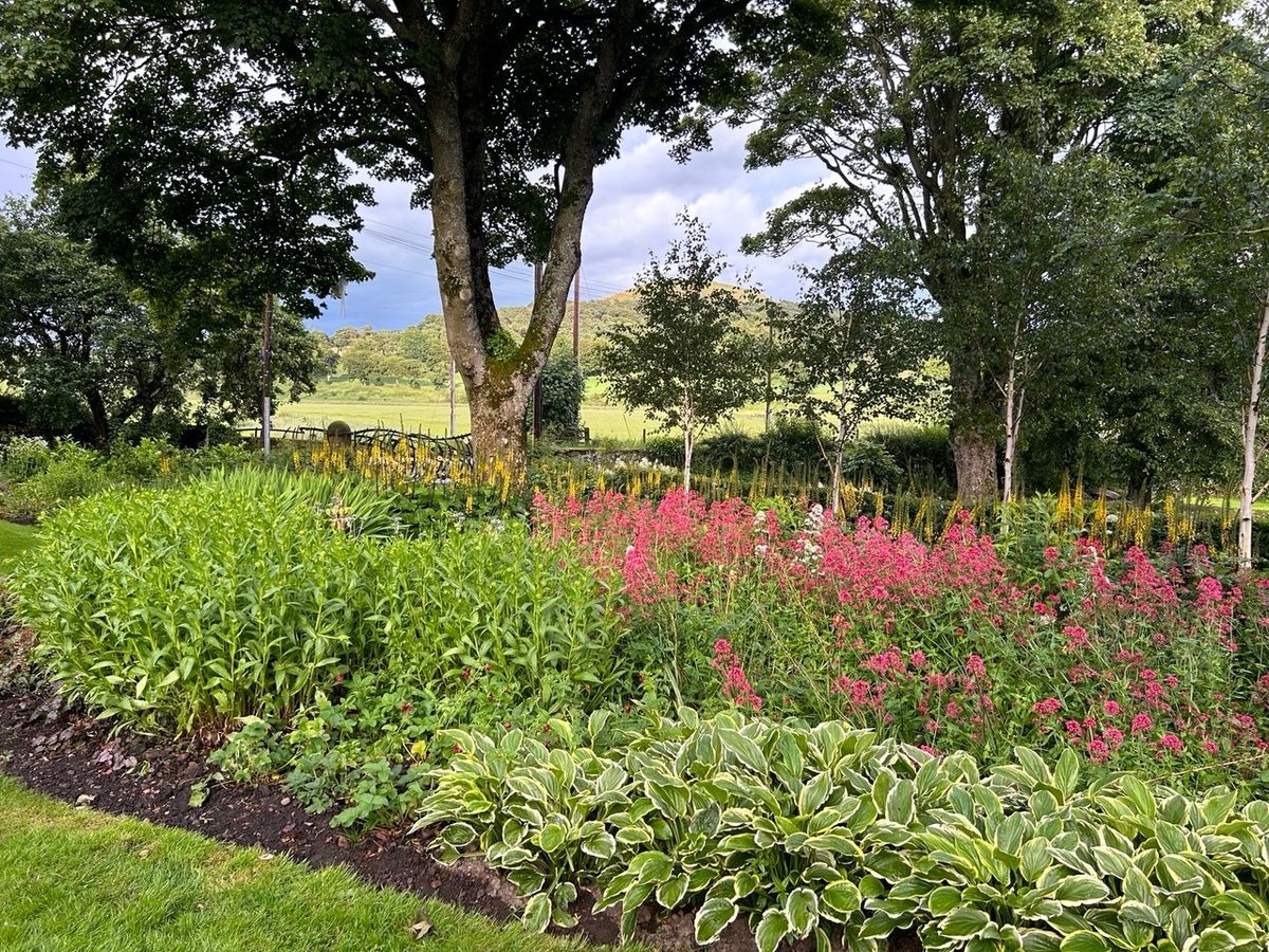 Covington Mill Farm.jpeg
