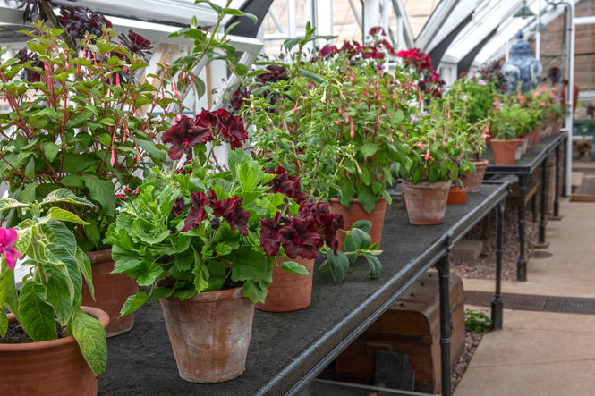 The Walled Garden at the Hugo Burge Foundation