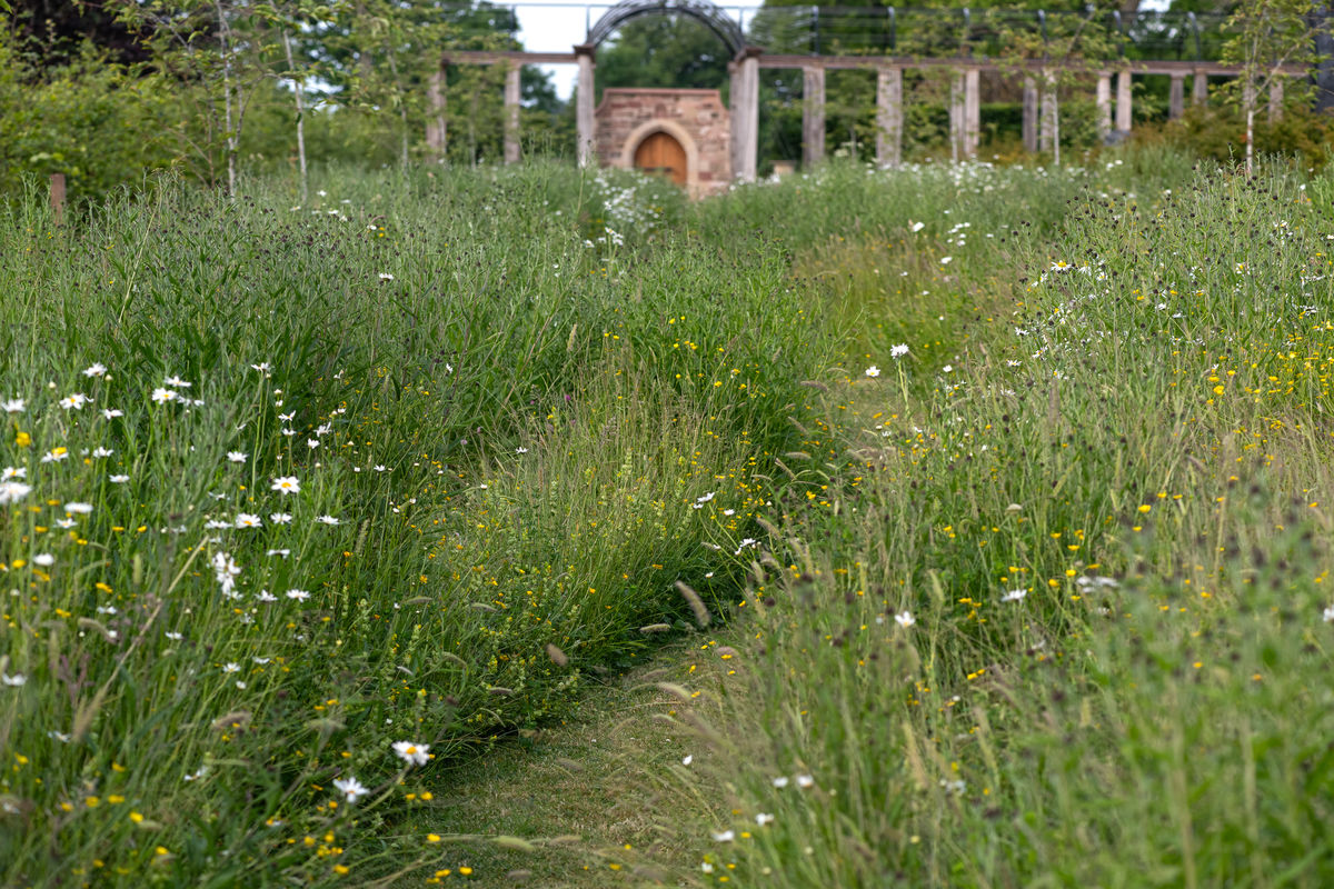 The Walled Garden at the Hugo Burge Foundation