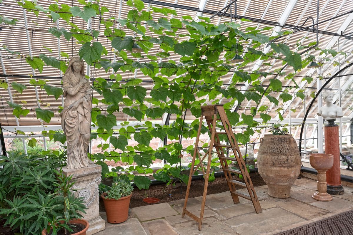 The Walled Garden at the Hugo Burge Foundation