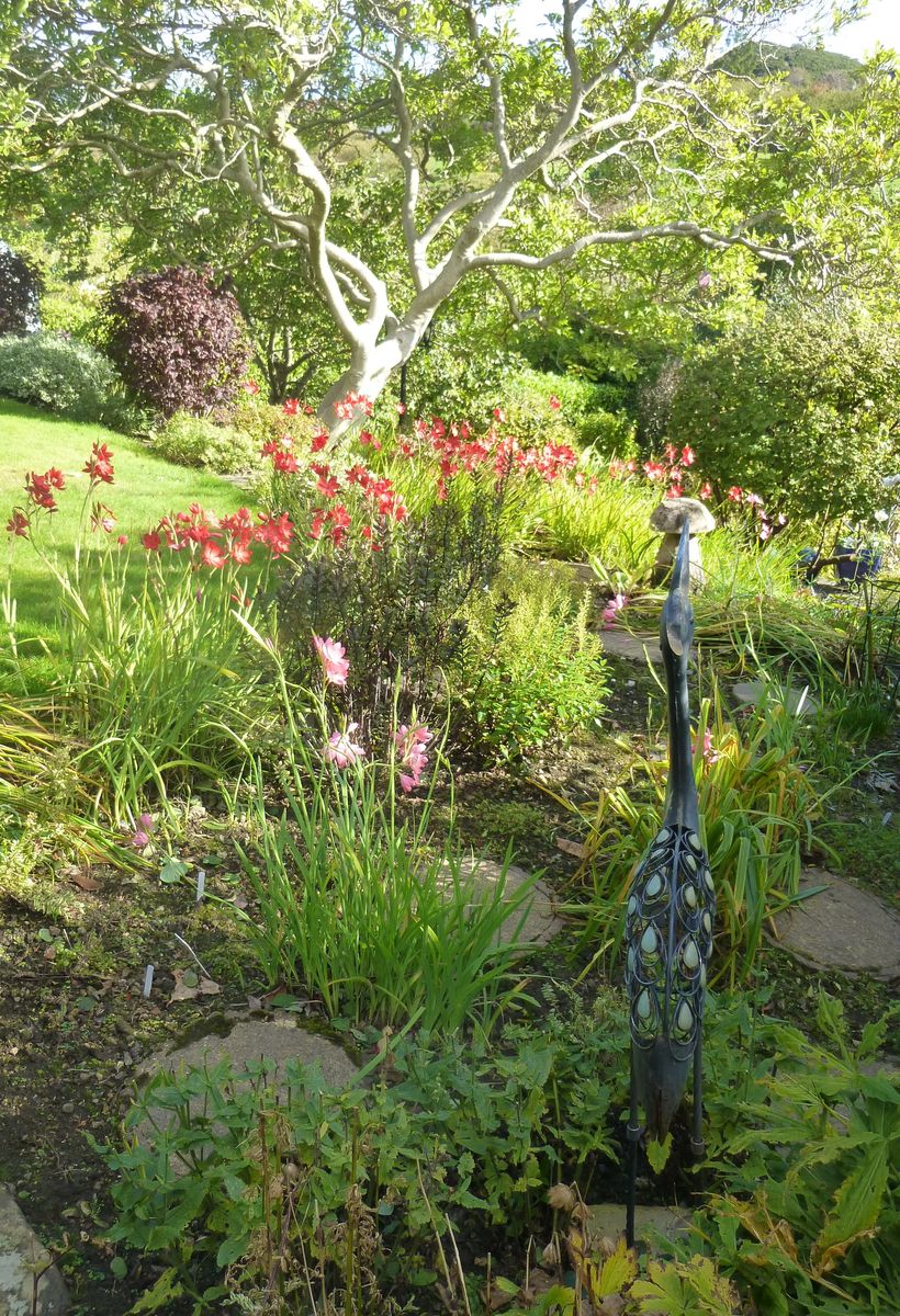 101 Greenbank Crescent