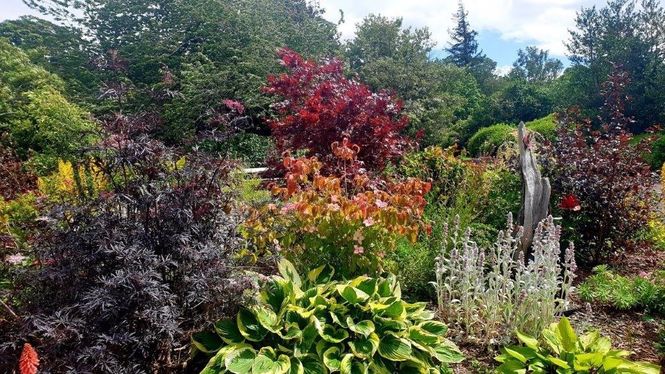 Duns Open Gardens