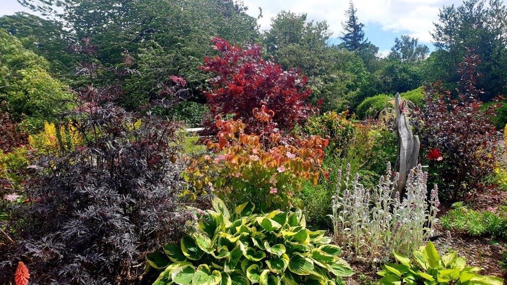 Duns Open Gardens