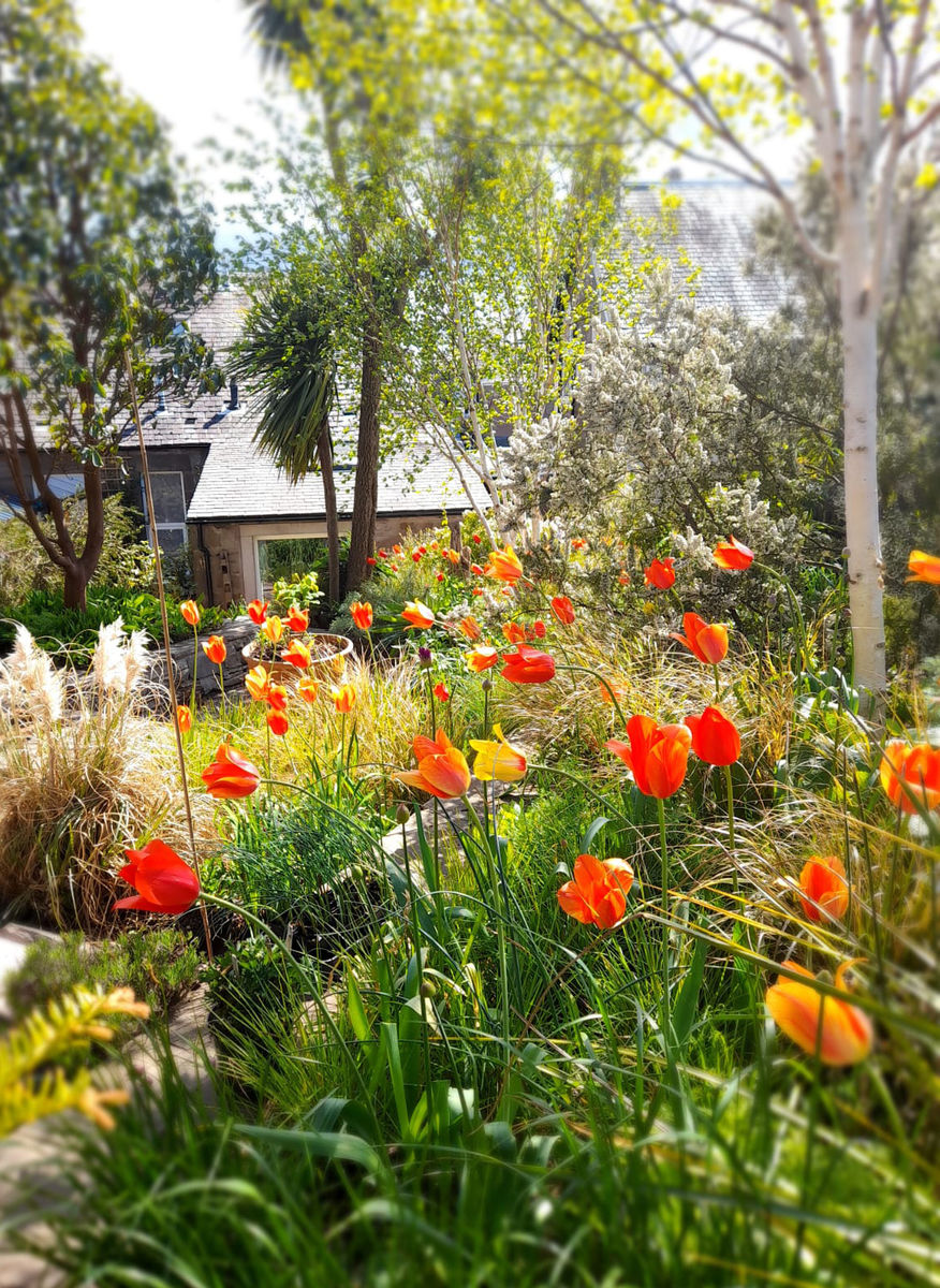 St Bedes Garden