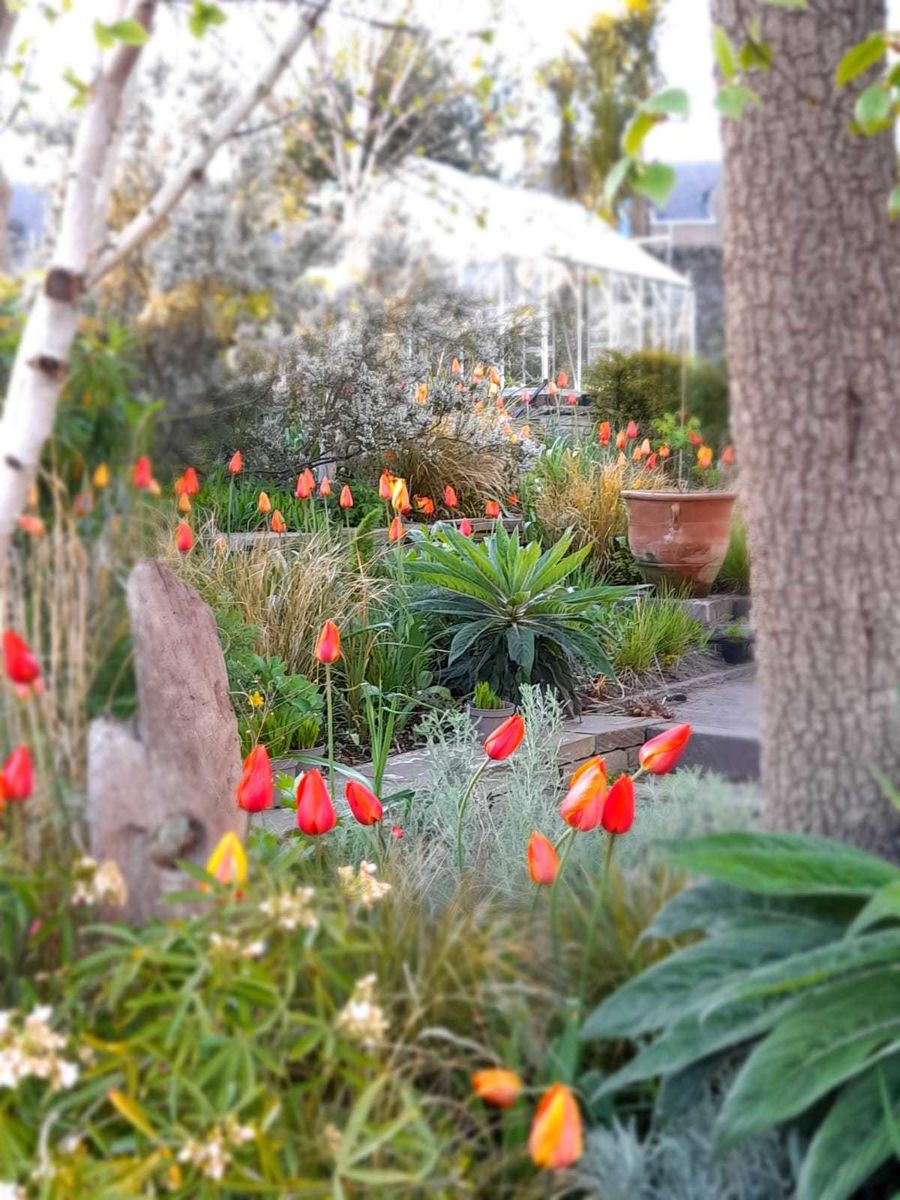 St Bedes Garden