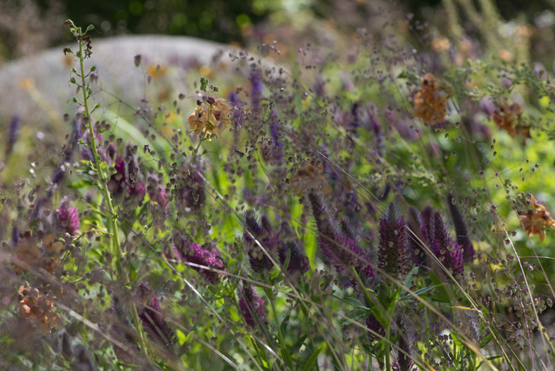 Elsewhere Garden