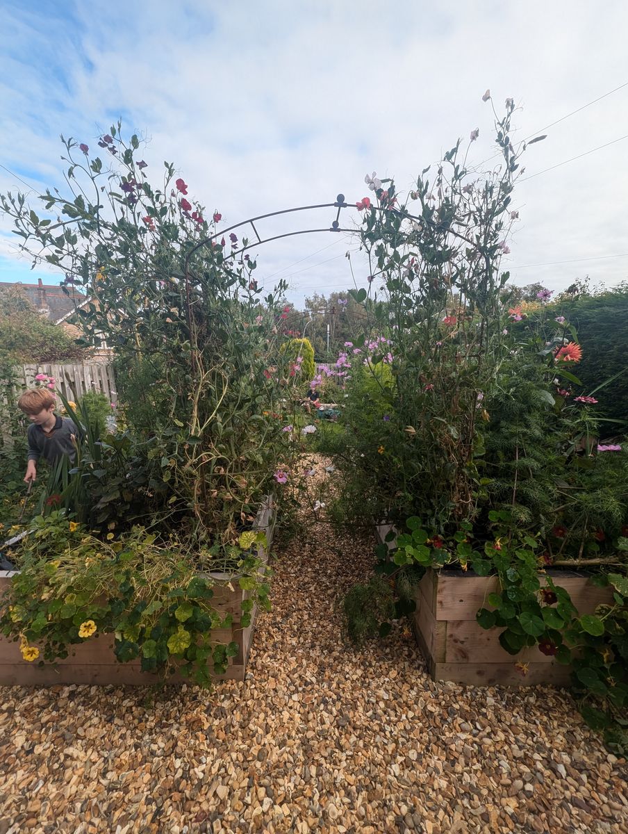 Grow Cook Inspire Garden