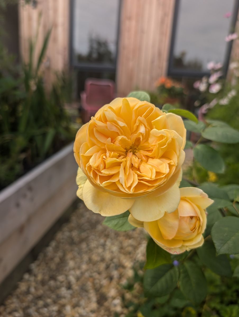 Grow Cook Inspire Garden