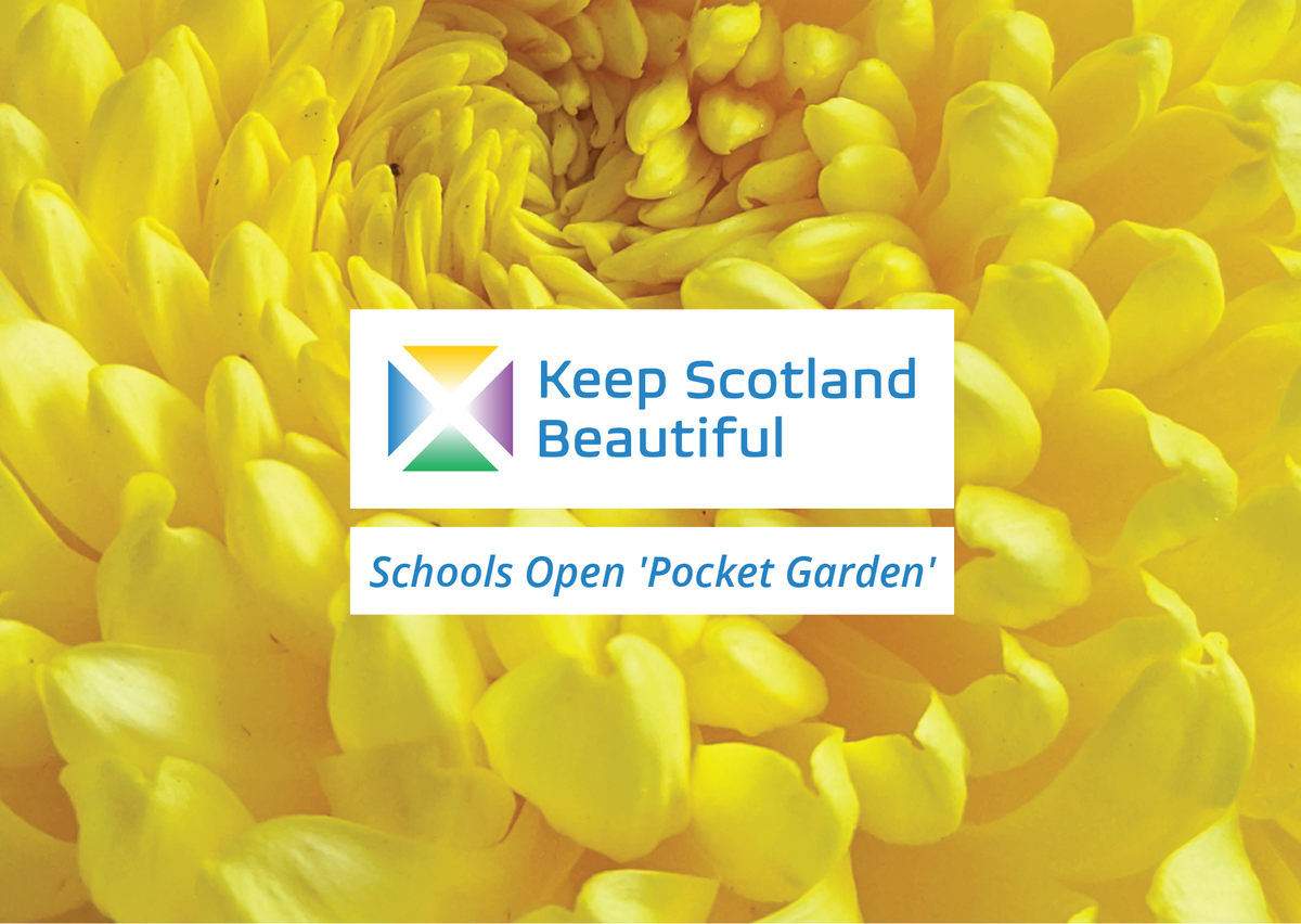 sgs-listing-pocket-garden-digital.png