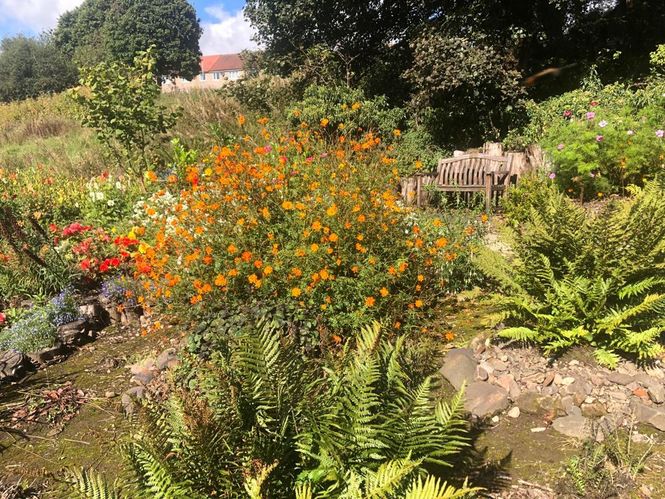 The Milton of Campsie Community Garden