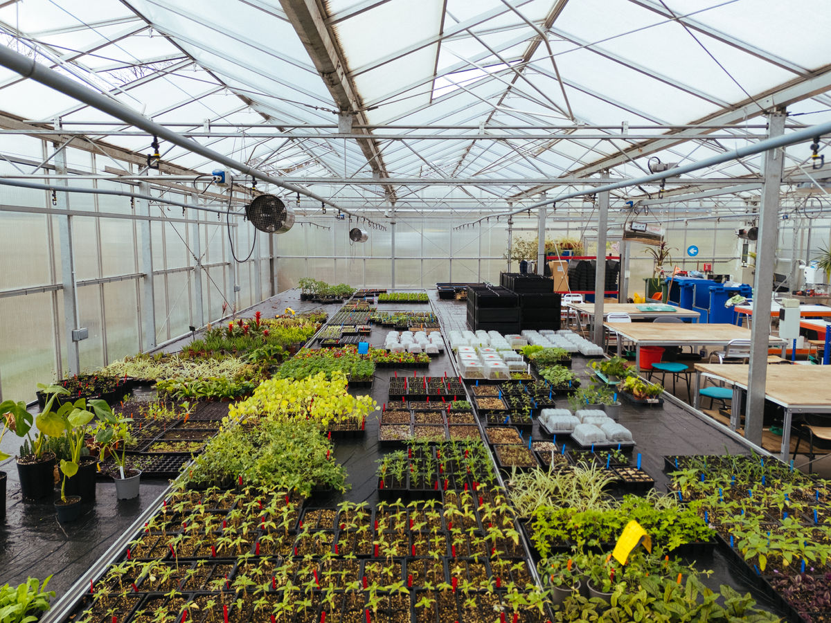 SRUC Edinburgh Glasshouse and Gardens