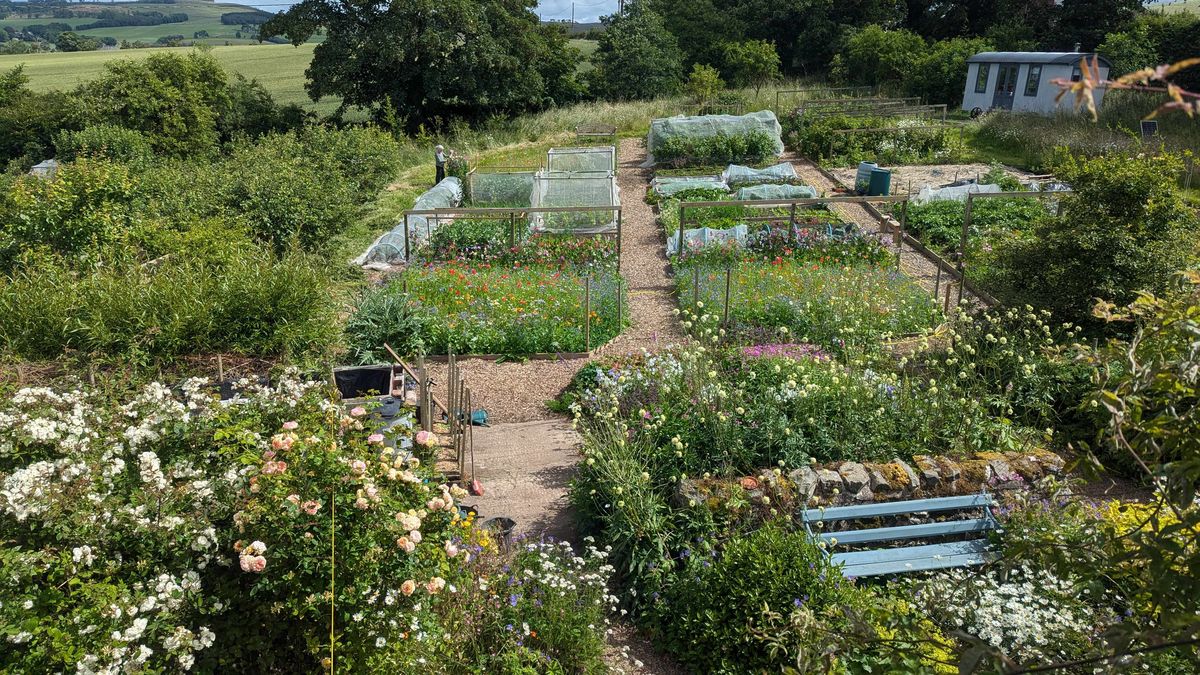 The Steading