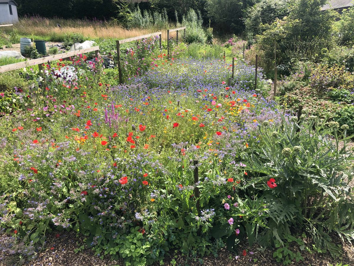 The Steading