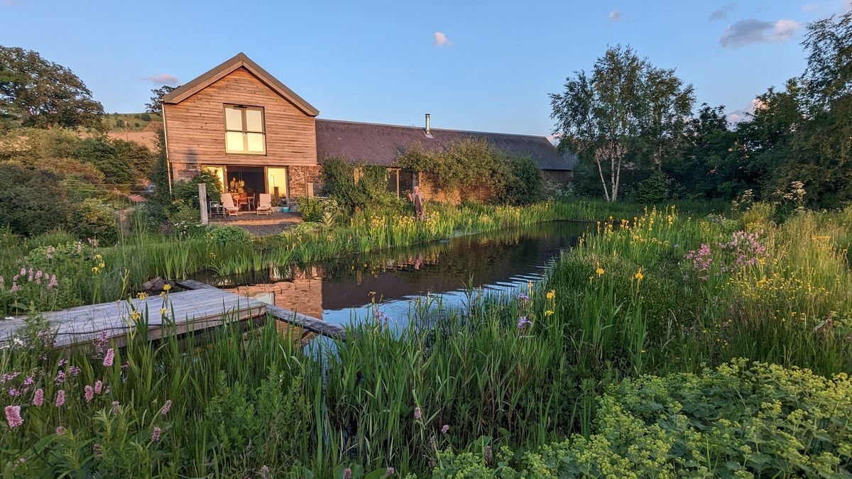 The Steading