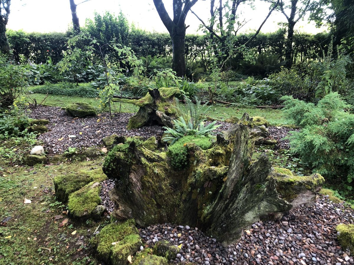 The Pond Garden