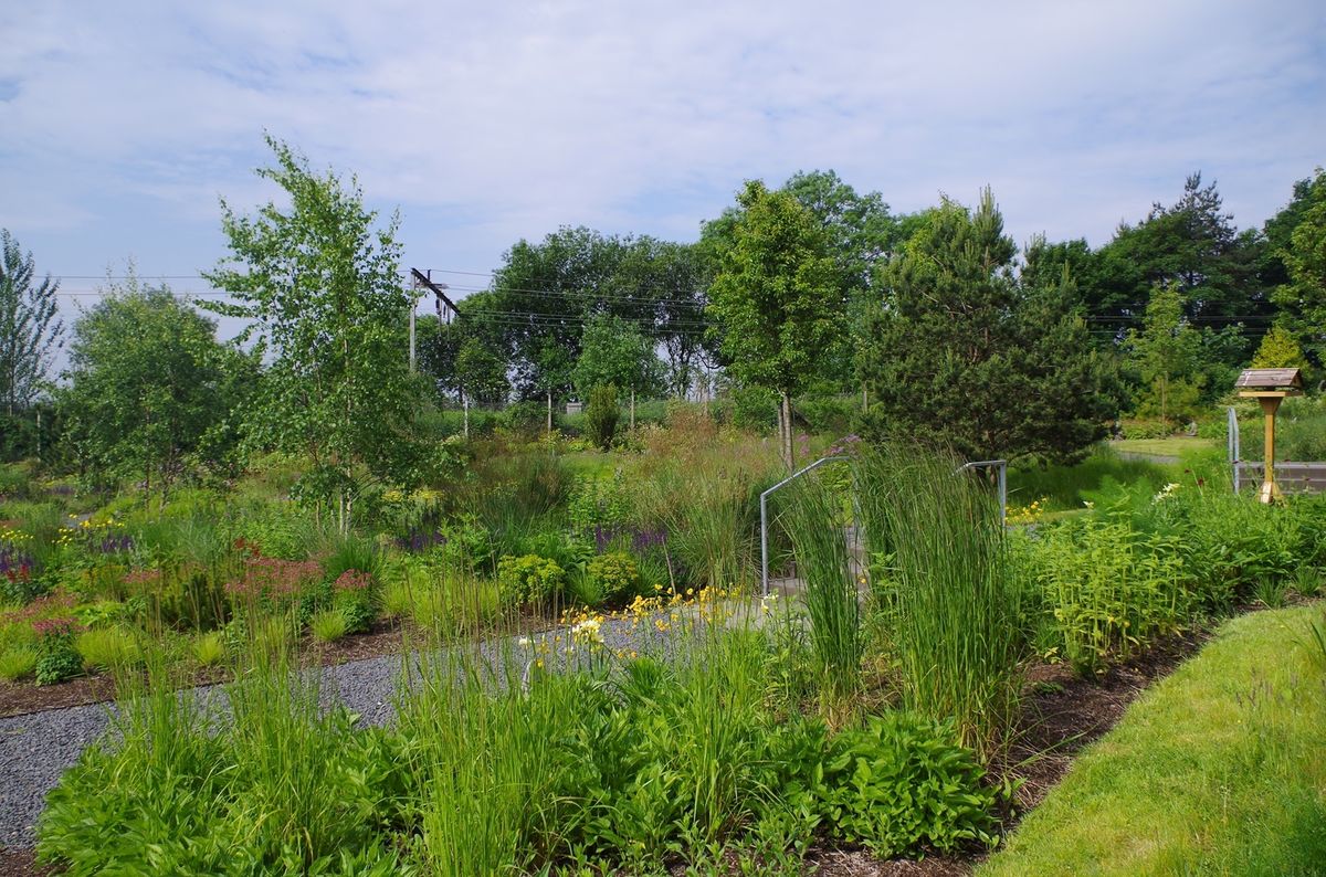 SWG3 Community Garden