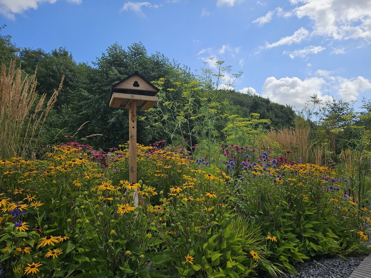 SWG3 Community Garden