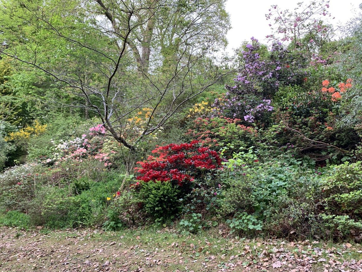 Torwood House