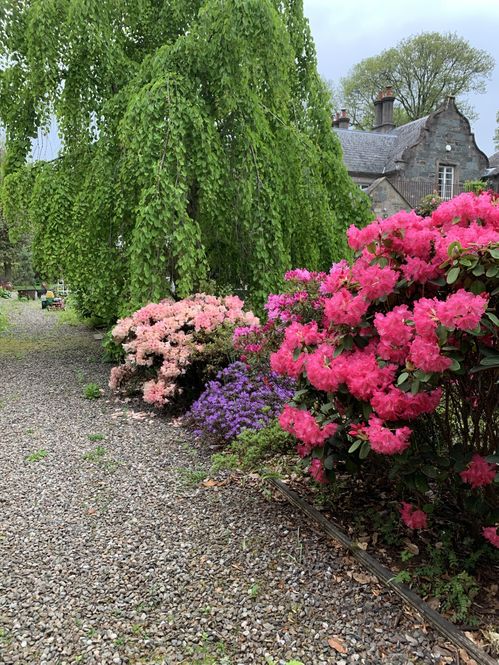 Torwood House