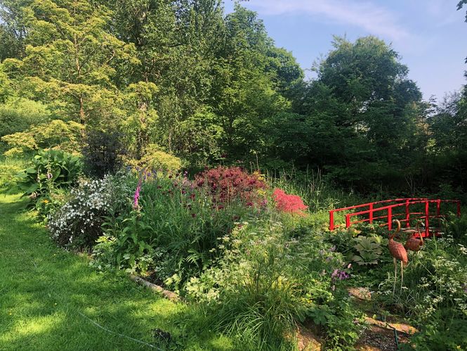 The Pond Garden