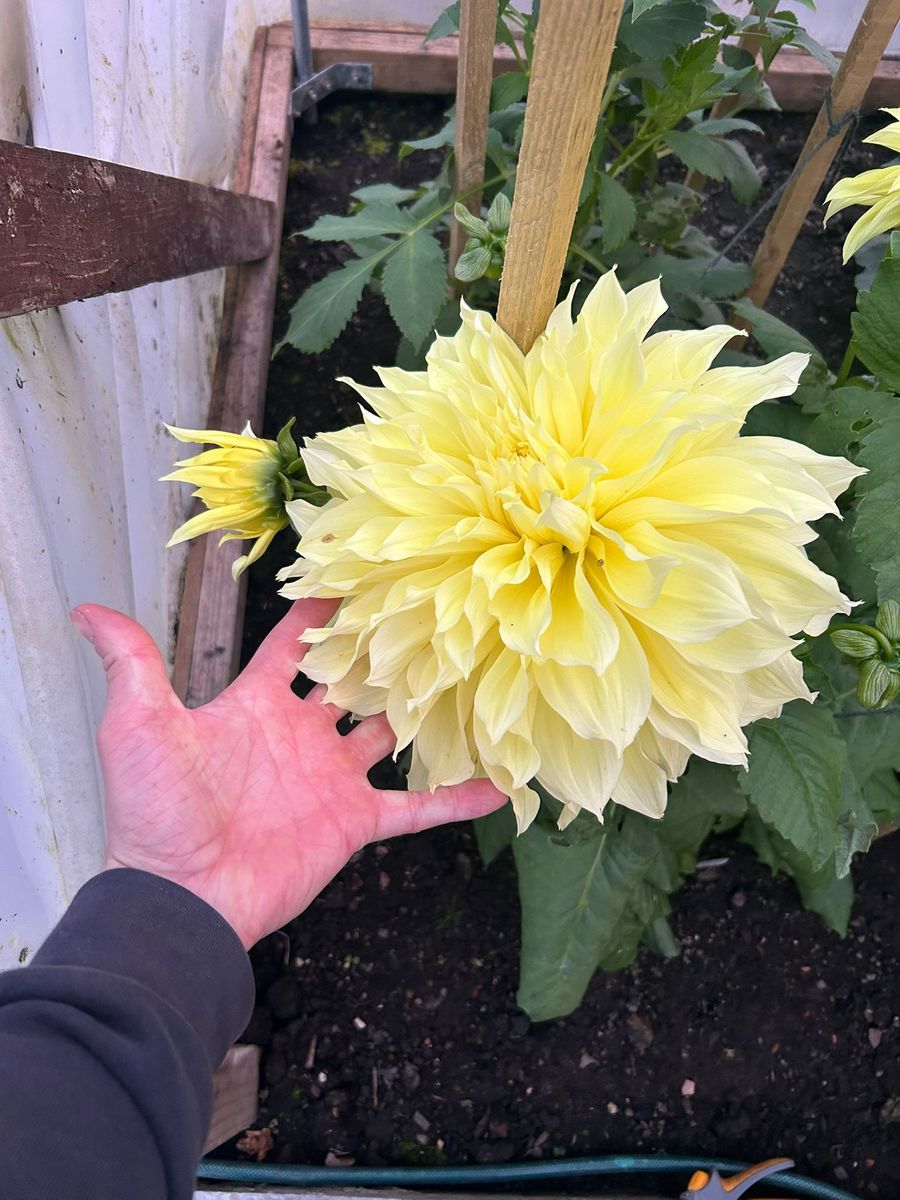 Stobwood Cottage Garden