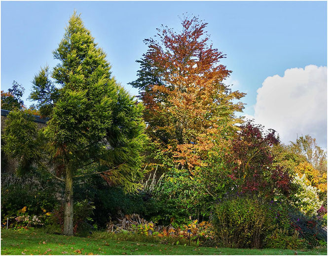 West Leas garden in October
