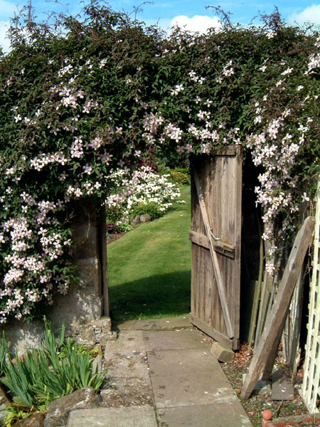 Kirklands door to walled garden