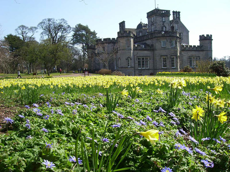  Winton Castle Spring Gardens Open Day