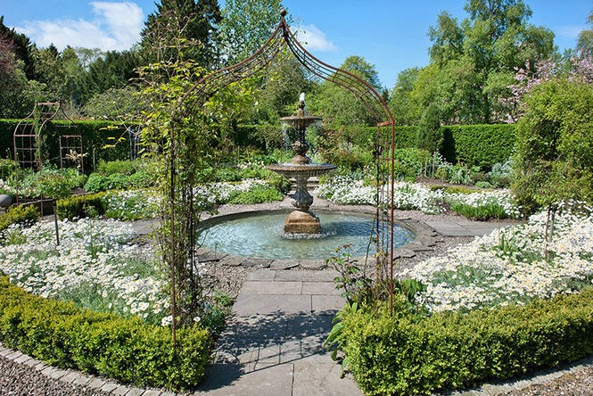 Flower power for chelsea week