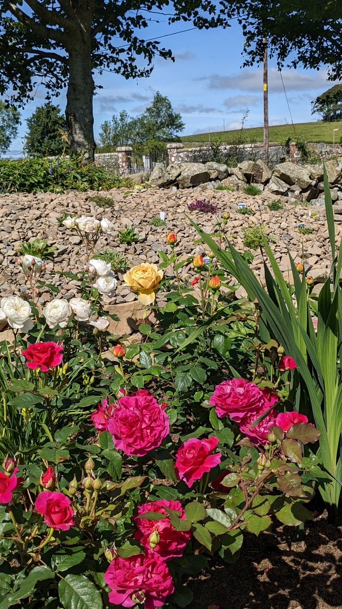 One Kirkland Bungalows 