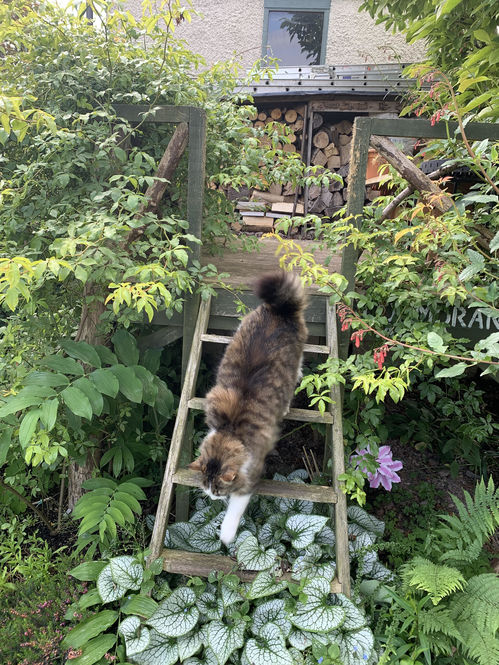 Newburgh - Hidden Gardens