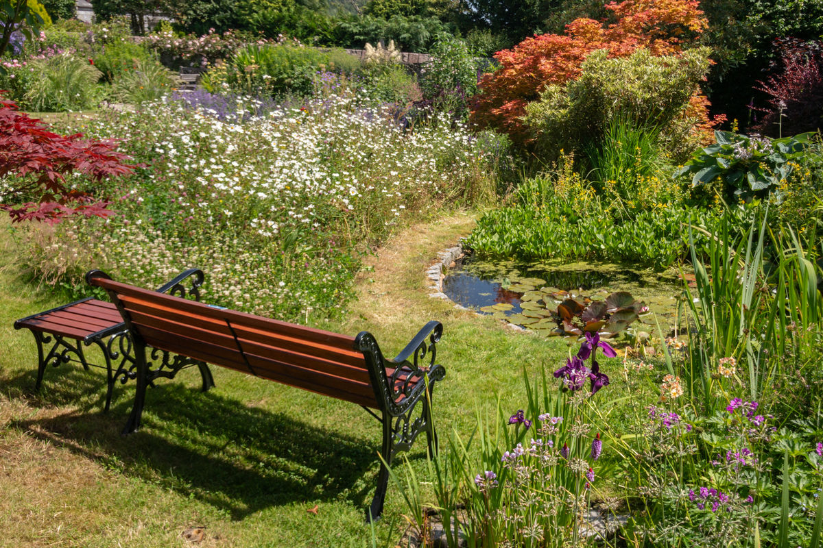 Parkvilla - pond and wildflower bed
