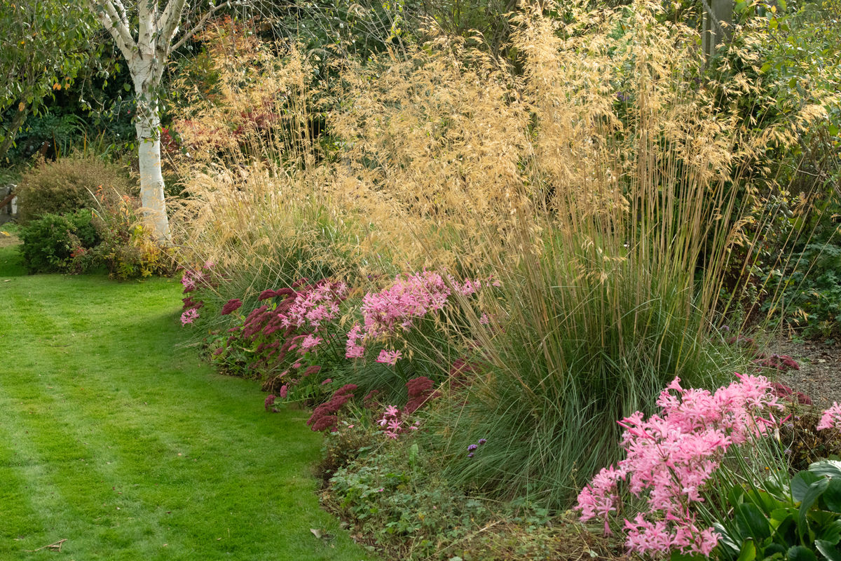 Parkvilla - Stipa Gigantea border