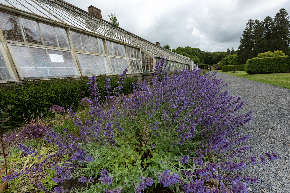 River Garden, The Restoration of Auchincruive