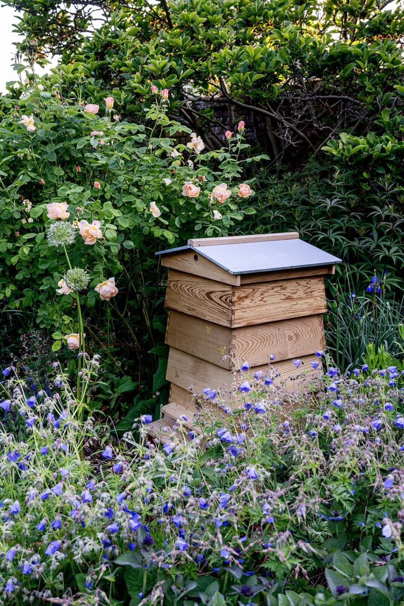 Glenburn's Walled Garden
