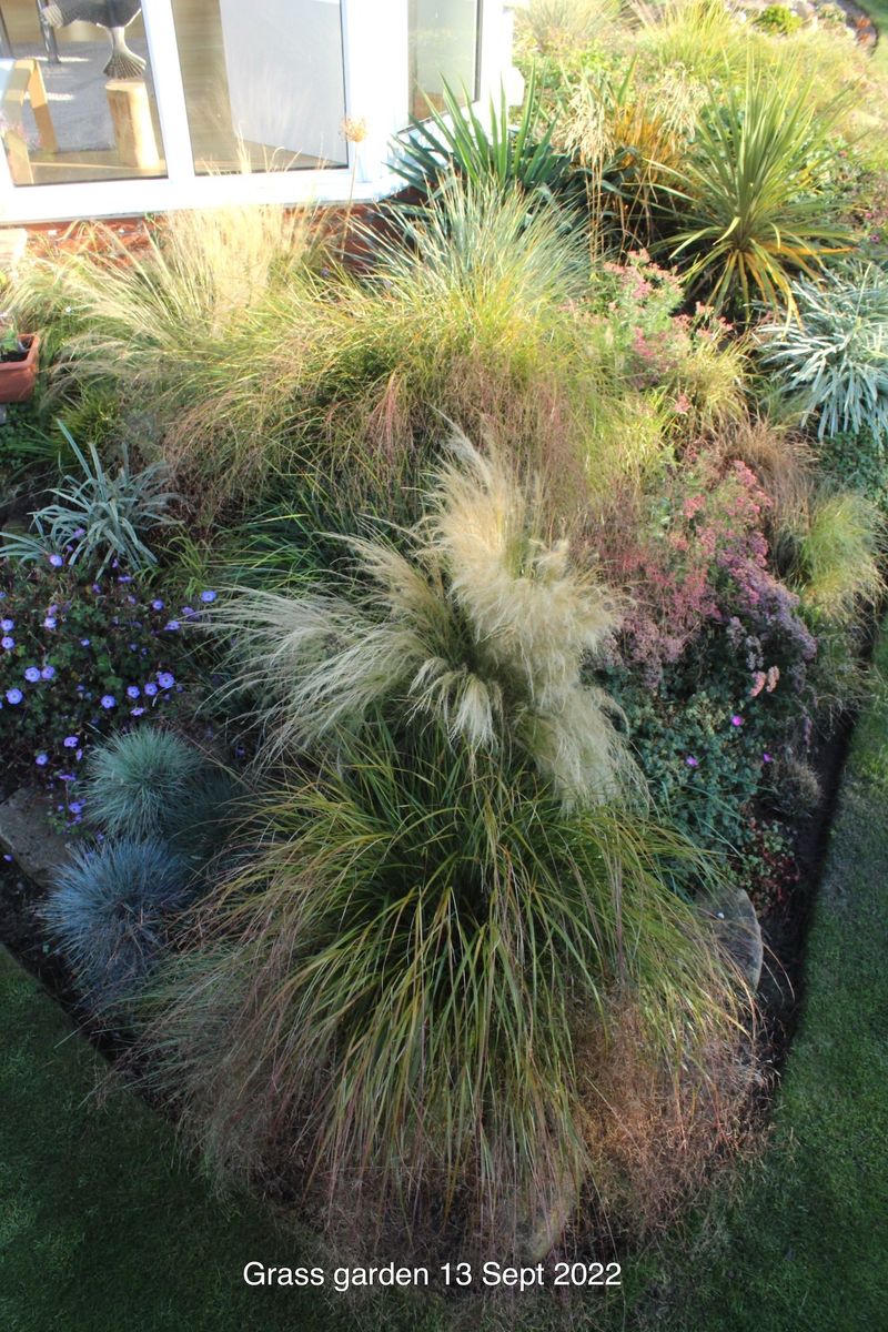Grass Garden