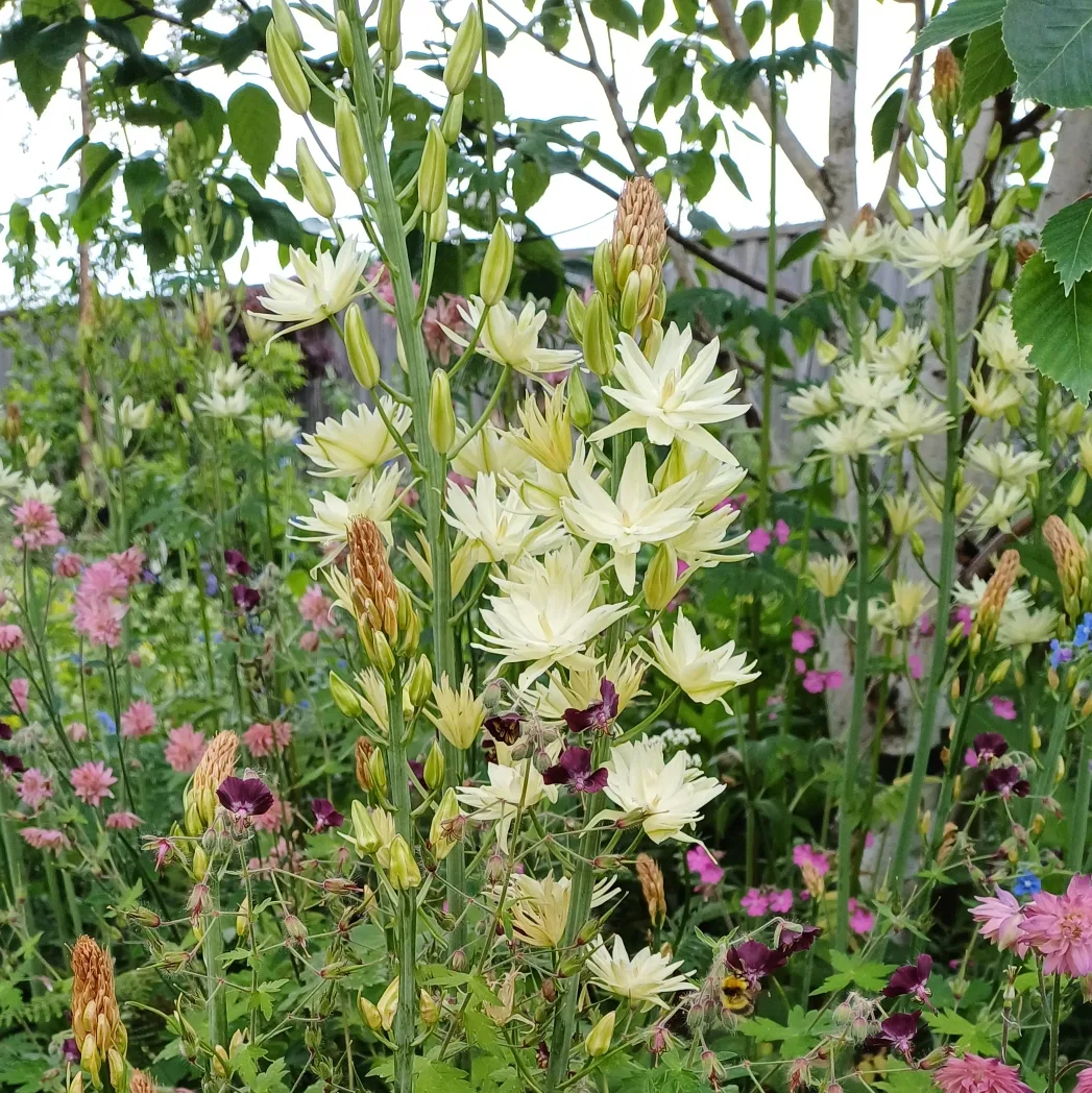 Horatio's Garden Scotland