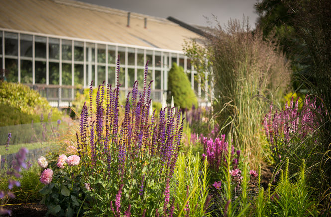 Calderglen Zoo and Ornamental Gardens