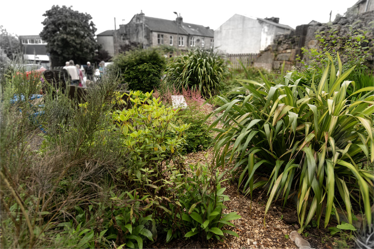 Beith Community Food Garden
