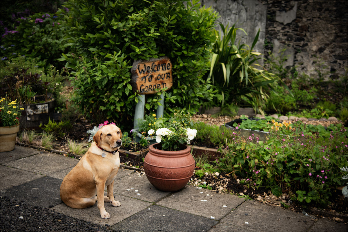 Beith Community Food Garden