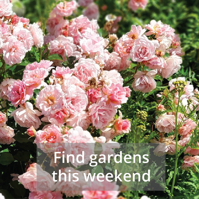 find-gardens-weekend.png
