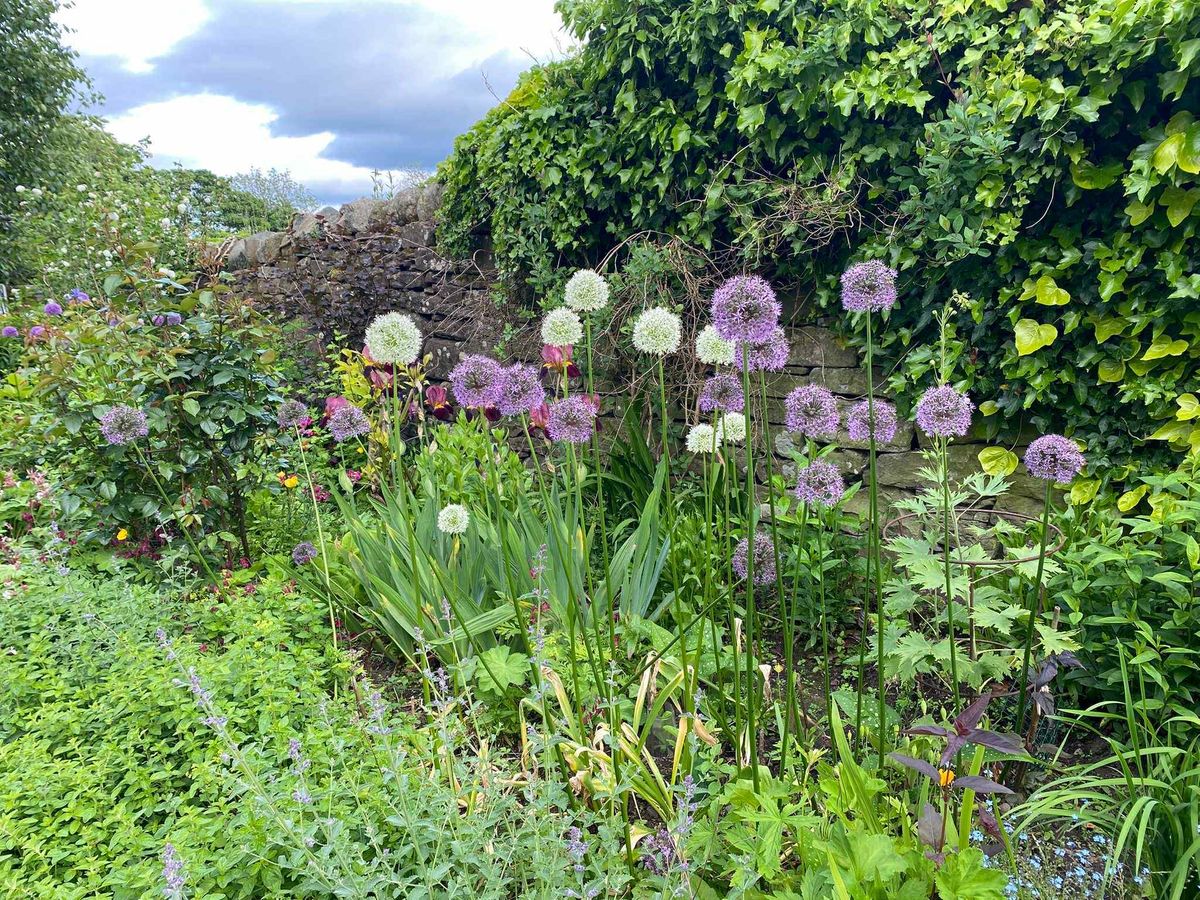 Fowlis Wester Open Gardens