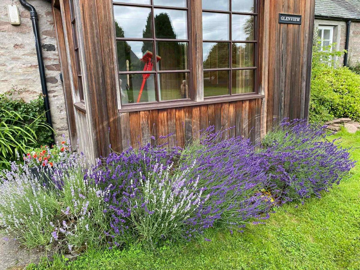 Fowlis Wester Open Gardens