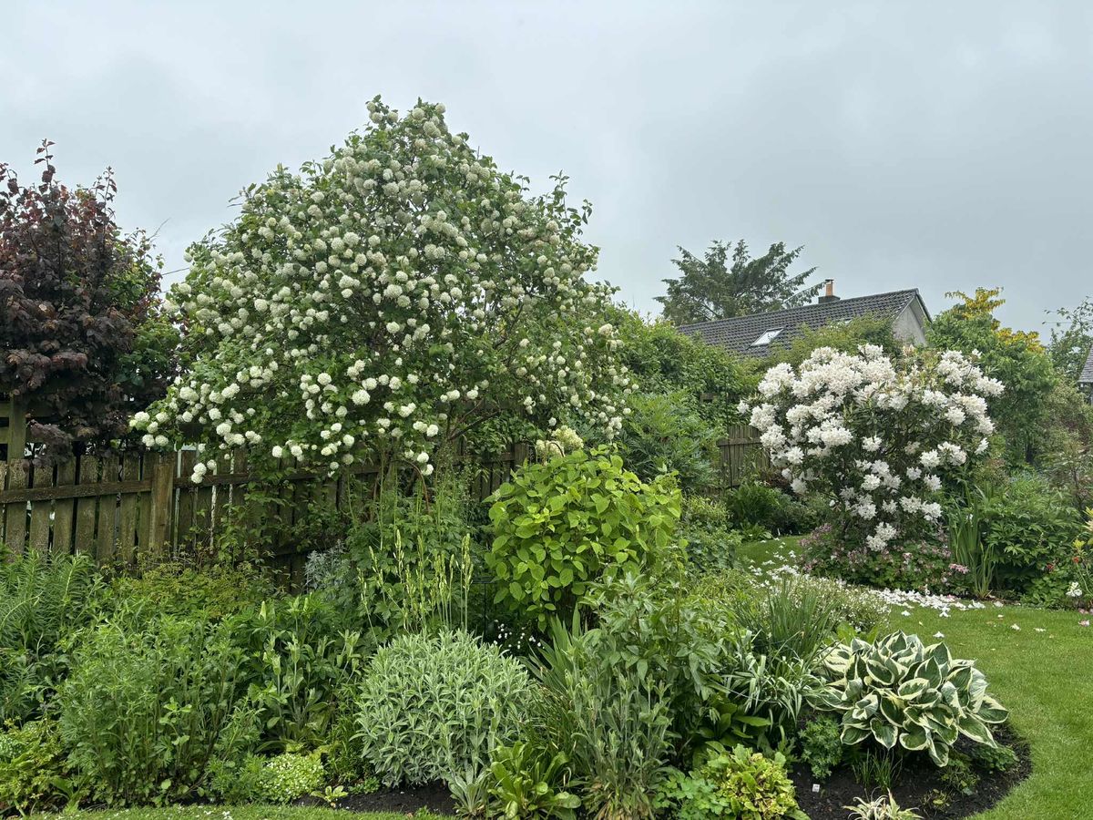 Fowlis Wester Open Gardens