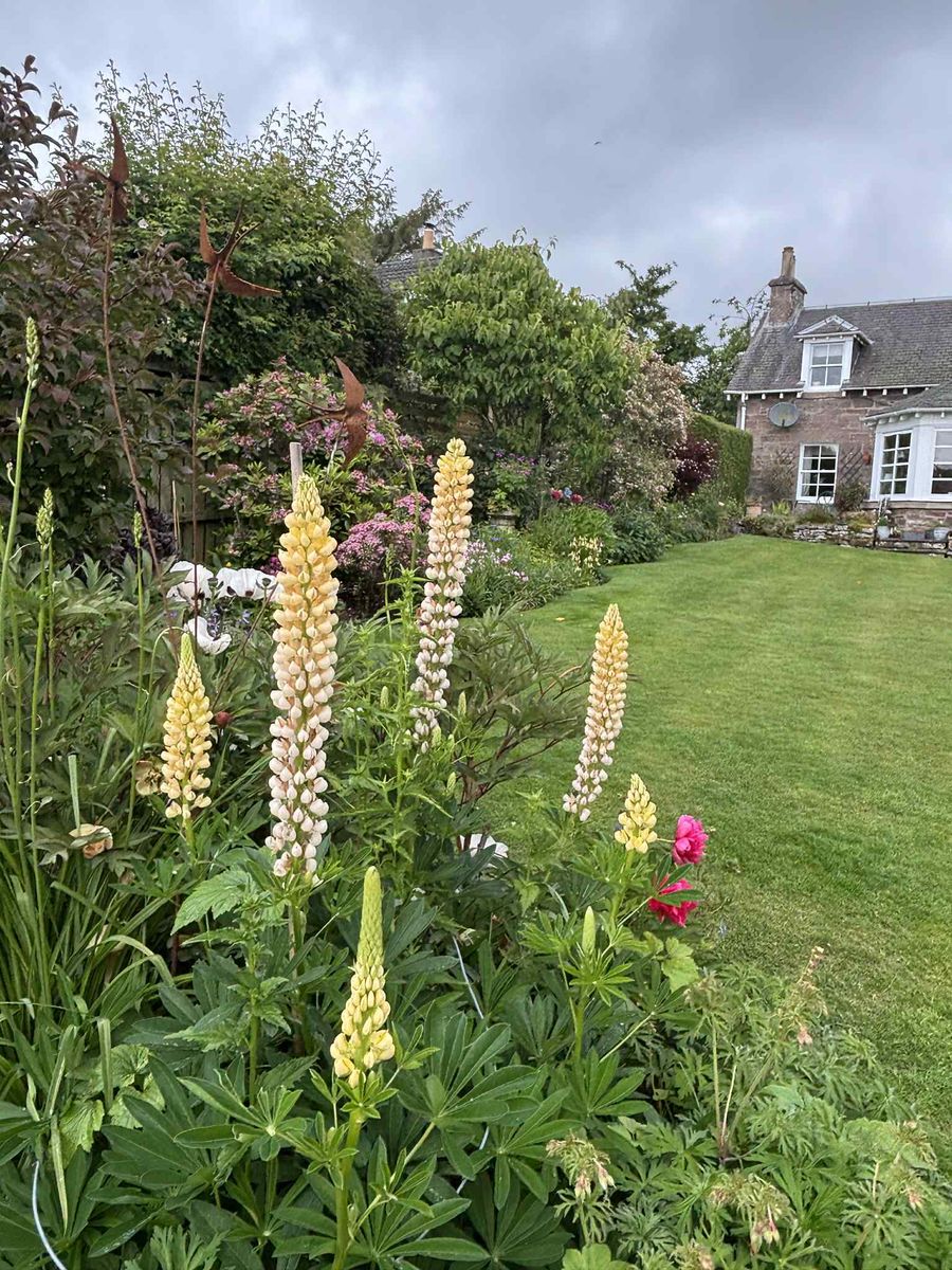 Fowlis Wester Open Gardens